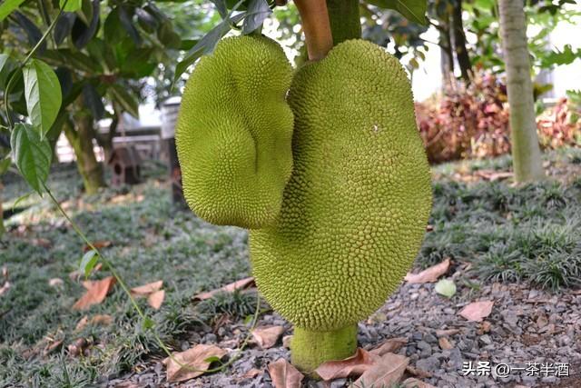 免费营地！浙江宁波全境免费自驾停车露营地，好玩景点，特色美食