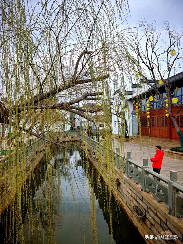 湖北祥云湾初春：垂柳展新颜 古建谱华章