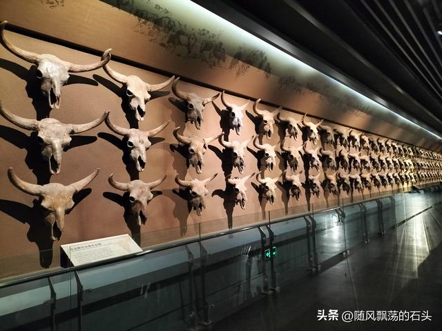 没想到大庆博物馆还有中国之最