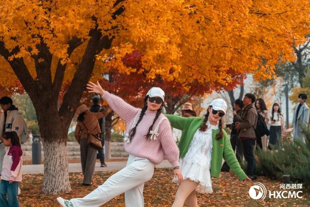 秋洒落的地方 藏着温柔与力量