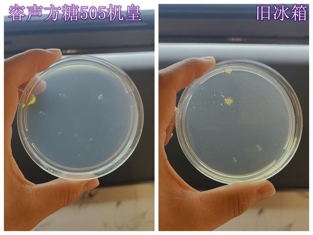 容声方糖505机皇，双系统净味除菌+自动制冰，双十一买好东西！