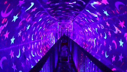 秋华未减，冬景将至，来炎帝影视基地赴一场秋冬的约会吧！