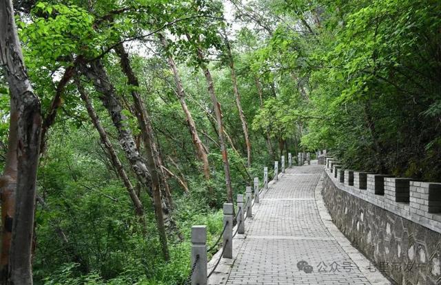 七里河“天然空调房”大公开！周末就去这些地方躲高温