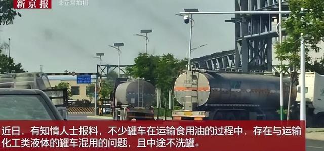 信号越来越明显！新加坡总理公开支持高市后，金龙鱼凉得更快了