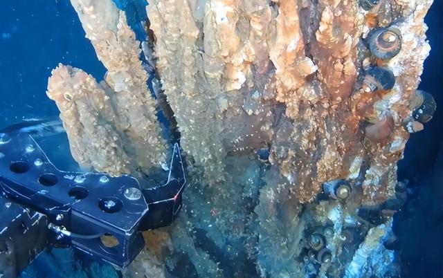 高市报复开始	，数十国围攻中国，特朗普下令，180天内拿下胜利