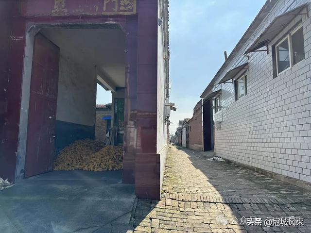 冠县乡韵·兰沃乡大柳邵村