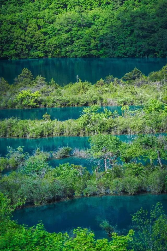 她们说九寨沟烤肠好吃我就来了！