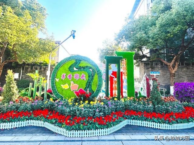 菊香满邵武！第二十届菊花艺术展惊艳绽放，邀你共赏秋韵
