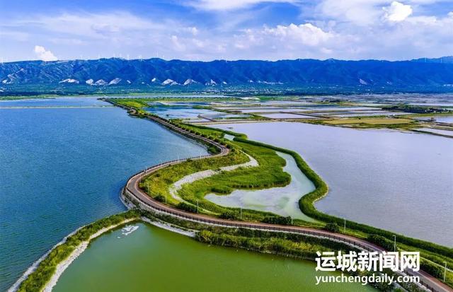 遛娃骑行太惬意！鸭子池真是个“绿色宝藏”