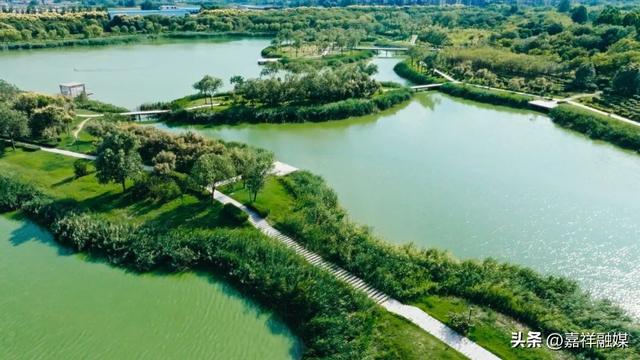 嘉祥吉祥湖湿地公园，随手拍都是森系大片