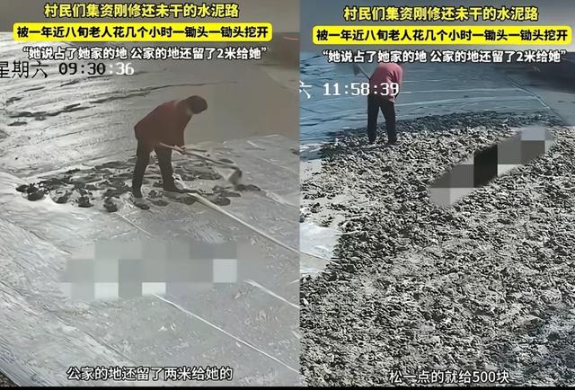 老太破路后续：毁路亏5000多涉违法，子女连夜召回，村干部揭真相