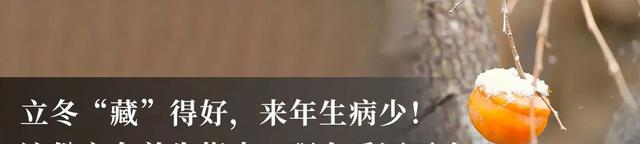 每天锻炼却换来一副“人工膝盖”？医生：上了年纪这3种运动要