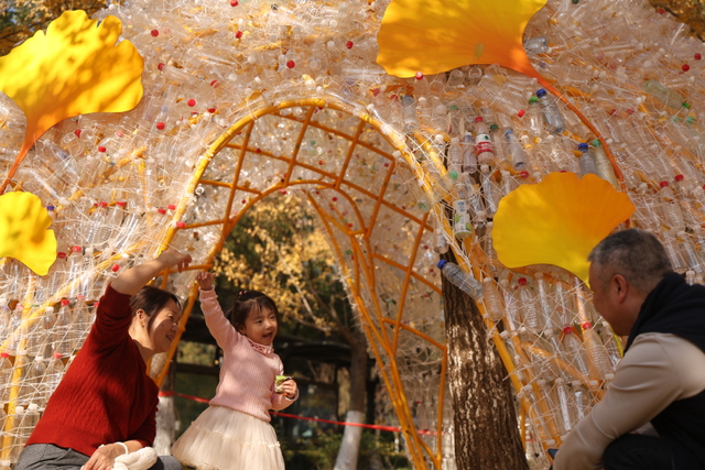 没扫的落叶，都去哪儿了？拱墅这片银杏林靠它火了