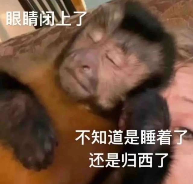 高端化之后，小米有了新的野心