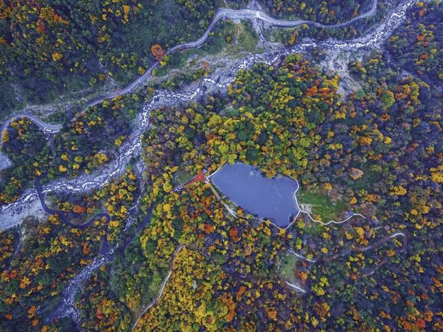 秋假福利持续至本周末！免票游雅安的快乐要一接再接！