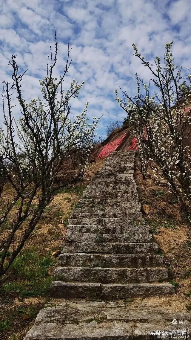 著名的赏李花胜地！这个书圣王羲之后裔居住地的千年古村你可去过