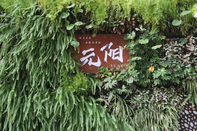 20℃+！出发，去元阳过冬🤩