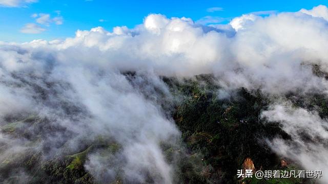 《西双版纳 澜沧行》左都佤山梯田云雾：天地间的水墨长卷