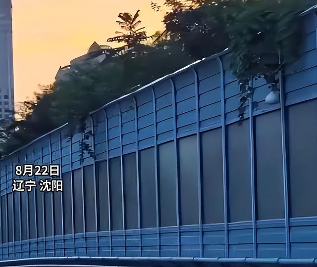 摘葫芦男“社会性死亡”：处罚曝光，婚礼取消，脸面和幸福都没了