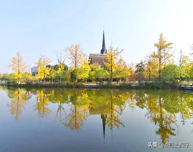 成都超级低调奢华的公园，色彩斑斓，被严重低估，公交车直达！