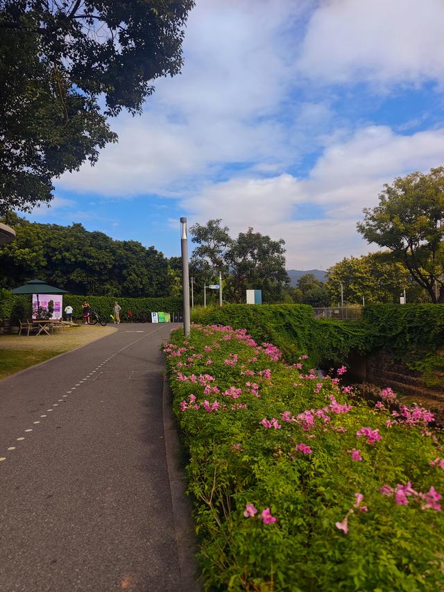 环西丽湖绿道骑行慢行随拍-动个好奇心