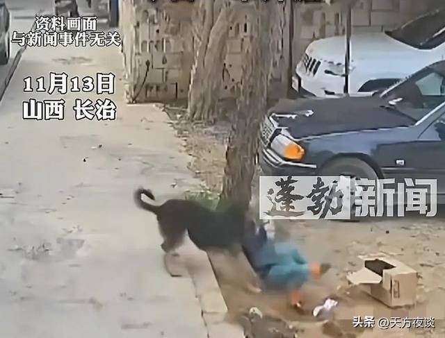 长治狗咬人反杀案后续！凶器只留死者DNA，重伤者疑被自己人误伤