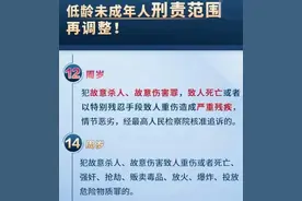 河北遇害初中生挖坑现场律师田地测试或有重大发现图片