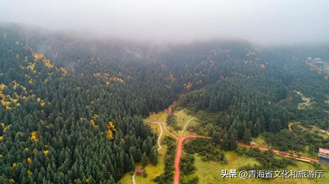 【秋日青海】假期邂逅乡趣卡阳,在云雾与秋色中共舞