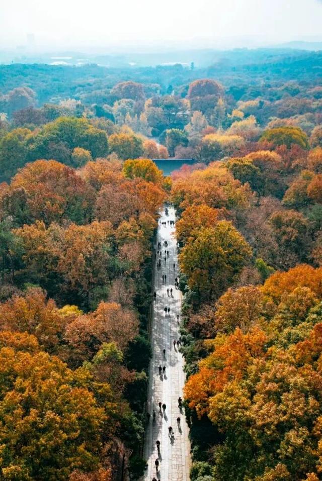 高铁1h！比西安秀美！这座千年古都秋色绝了！高光仅20天！