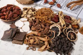 中药中的三种玄虫，药理独特，助通经活络，强身健体有帮助图片