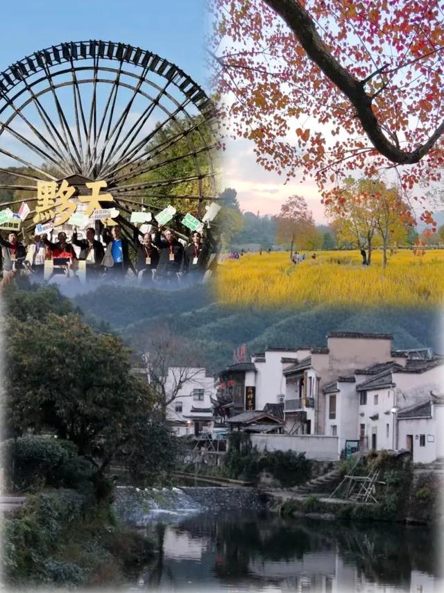 黟县秋日收获盛景开启