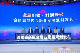 合肥高新区：力争2025年上市企业达到50家图片