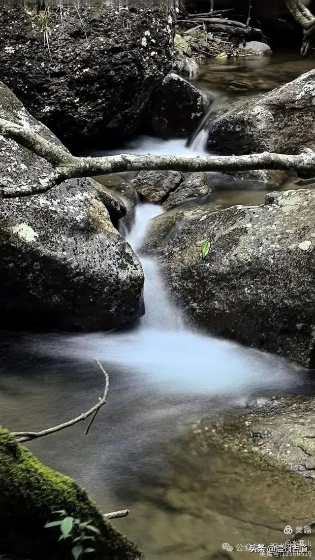 真正的小众避暑胜地！这方秘藏于千米高山之上的清凉秘境等你来！