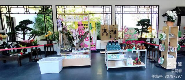 游西湖：杭州植物园之石蒜花展