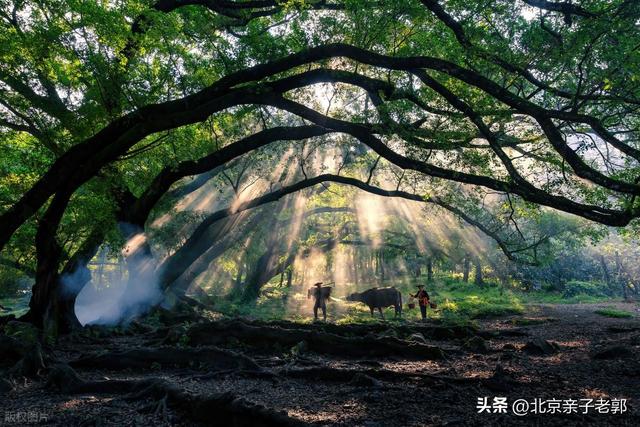 冬季自驾漫游指南：冬日暖途寻年味