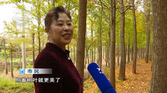 冬天的昆明，盛满了温柔的金黄色