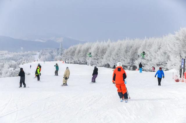 12306可购票！这趟仅周末开行的列车，线路有变化！