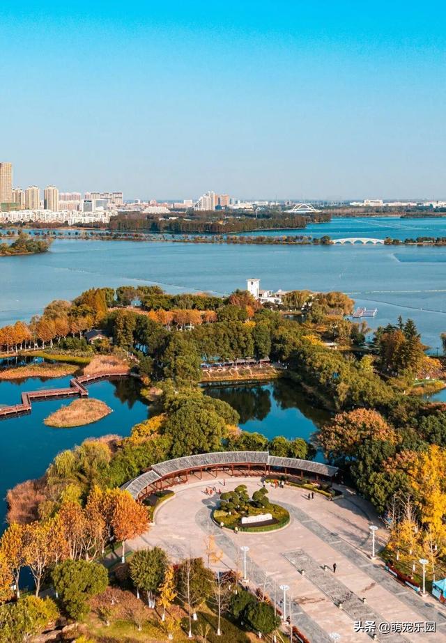 清晨金银湖薄雾散开，径河公园帐篷如花朵，常青花园邻里情浓厚