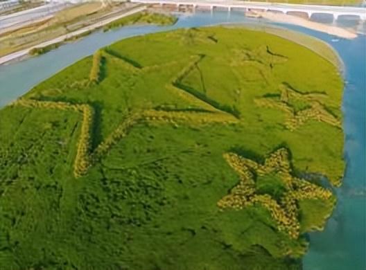 厦门下潭尾湿地公园，被称厦门版的马尔代夫，海上森林，颜值爆表