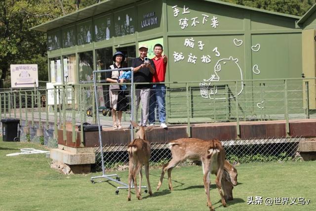 特别关注丨金华市科普作协开展全国科普月金华山科普创作采风活动
