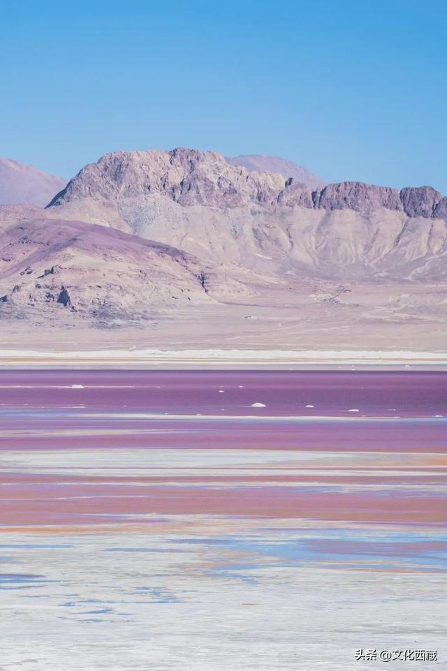 不用去澳大利亚！中国西藏有自己的粉红湖，颜值爆表，人少还免费！