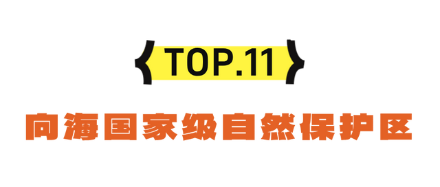 错峰出游！携程认证吉林赏秋景点TOP20！