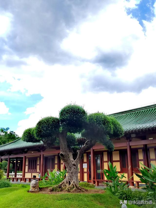 东林大佛&东林寺，在大佛脚下休憩