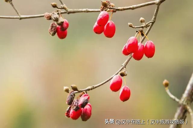 初冬游汉中岳坝,在自然里疗愈身心!