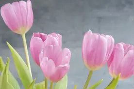 亲家之间，上门拜访，越主动带这3样东西去，越会被高看图片