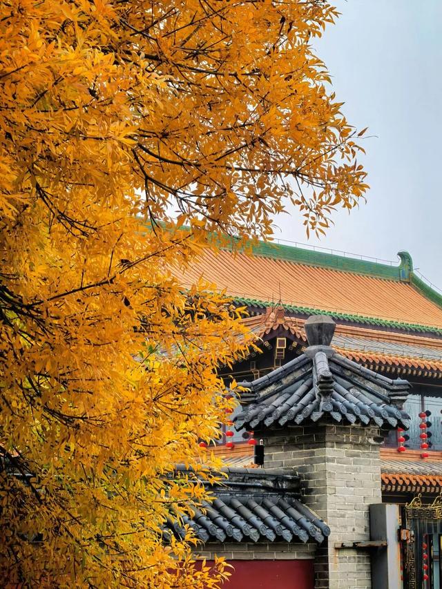 红与黄！我不允许还有人不知道这个打卡点！