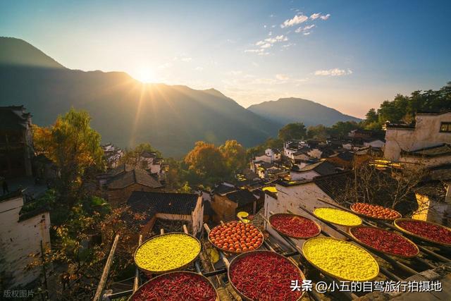 11月旅游的目的地推荐|每一个都是出片圣地的存在