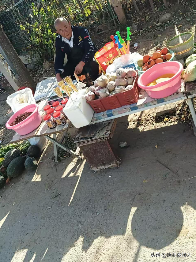 怒征西山公园，立在539.8米的顶峰