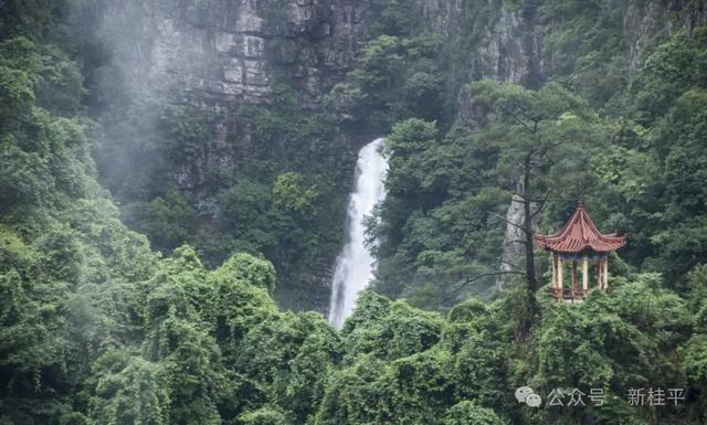 桂平半程马拉松选手看过来！文旅福利已就位，三大景点等你打卡～