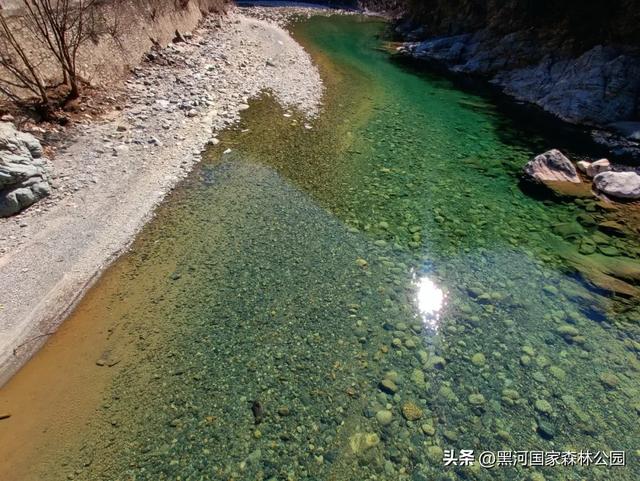 绿野仙踪+山水秘境！快来黑河抓住夏天的尾巴，奔赴一场绿意清凉之约